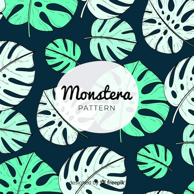 Free vector monstera leaves