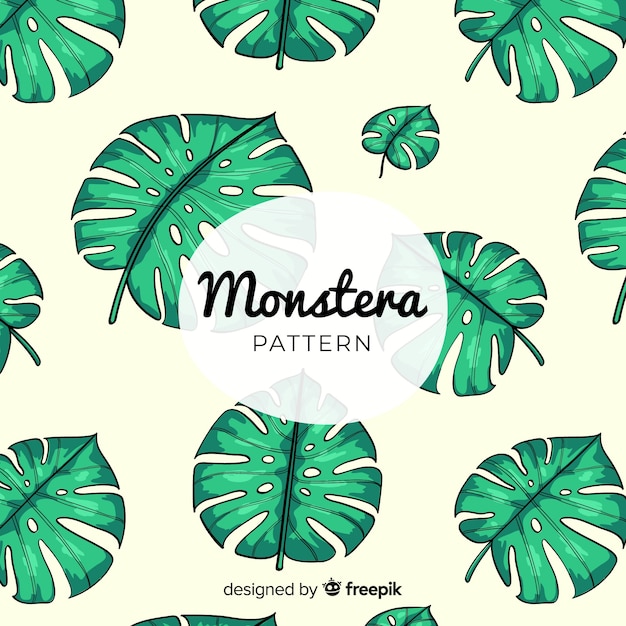 Free vector monstera leaves