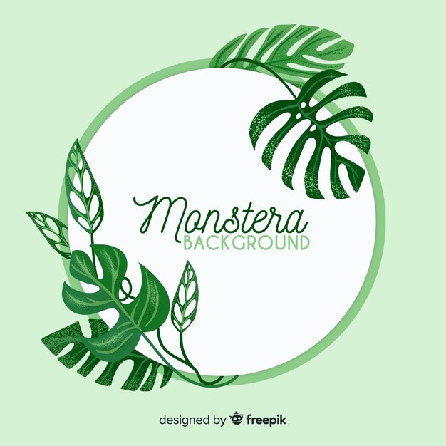 Monstera leaves