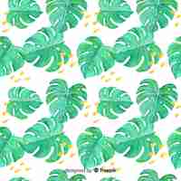 Free vector monstera leaves