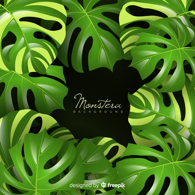 Free Vector monstera leaves