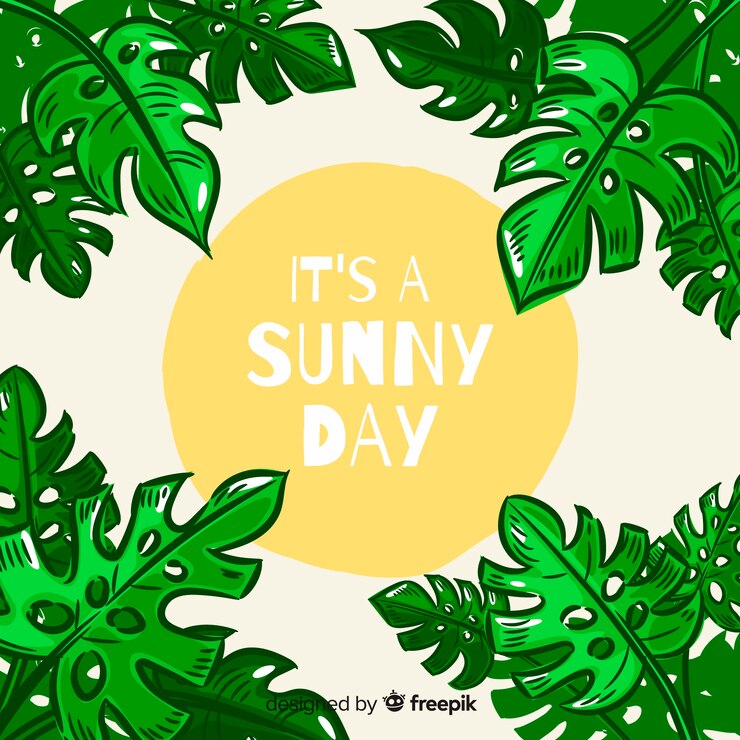 Free Vector monstera leaves