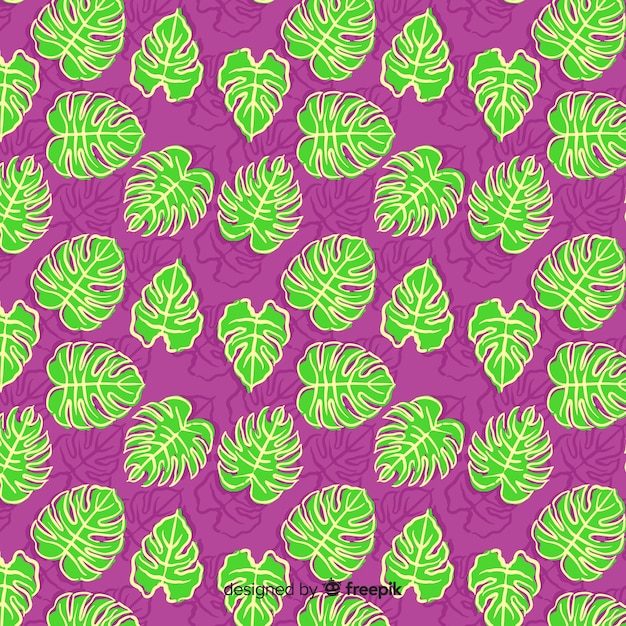 monstera leaves