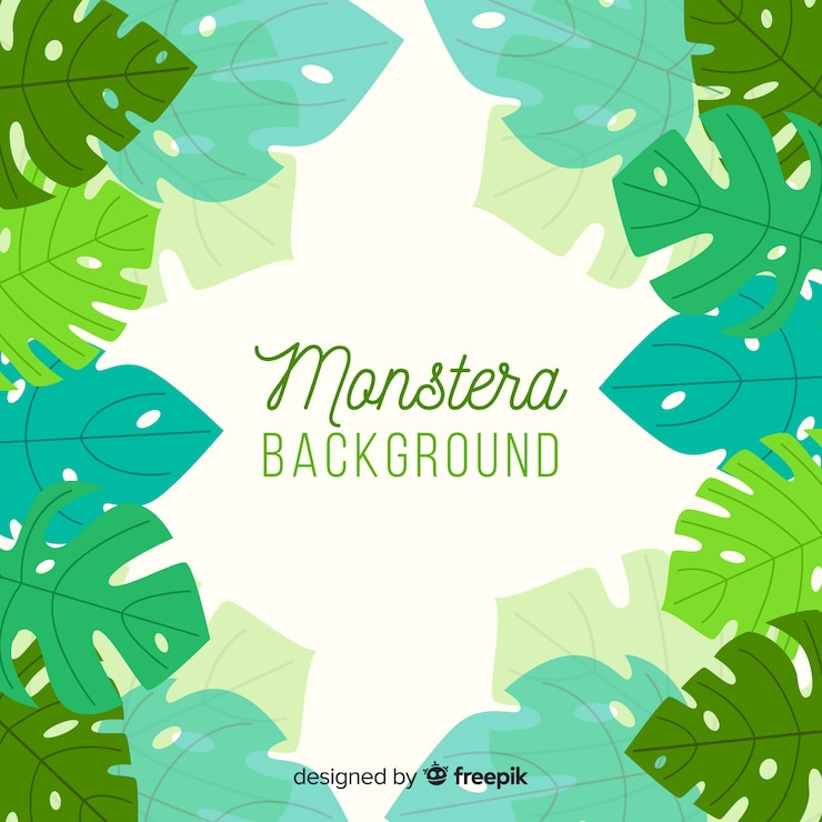 Free Vector monstera leaves