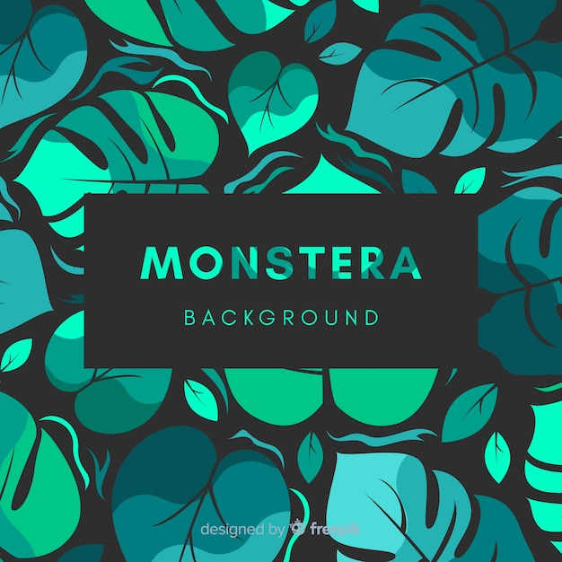 Free vector monstera leaves