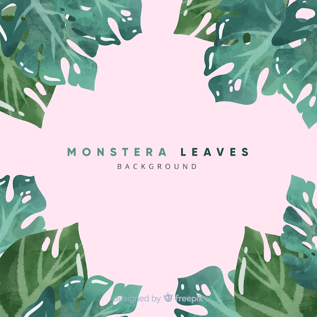 Monstera leaves