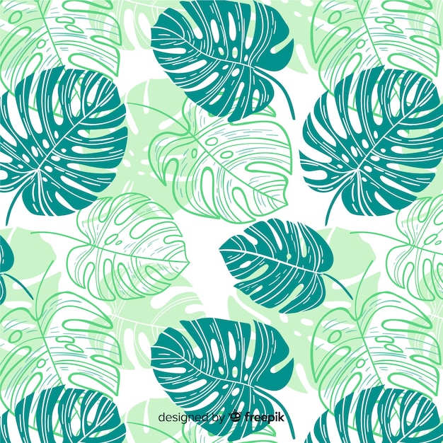 Monstera Pattern