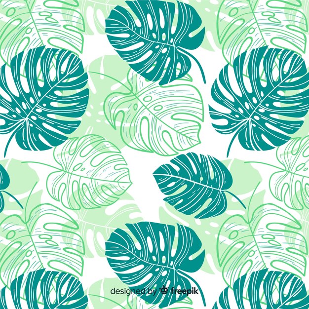 Monstera pattern