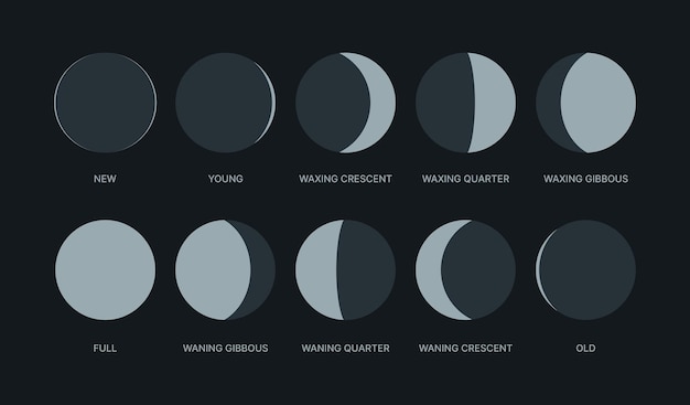Moon phases. night symbols for moon calendar circle round shapes logos waxing pack garish vector stylized forms isolated. illustration full moon and crescent waxing