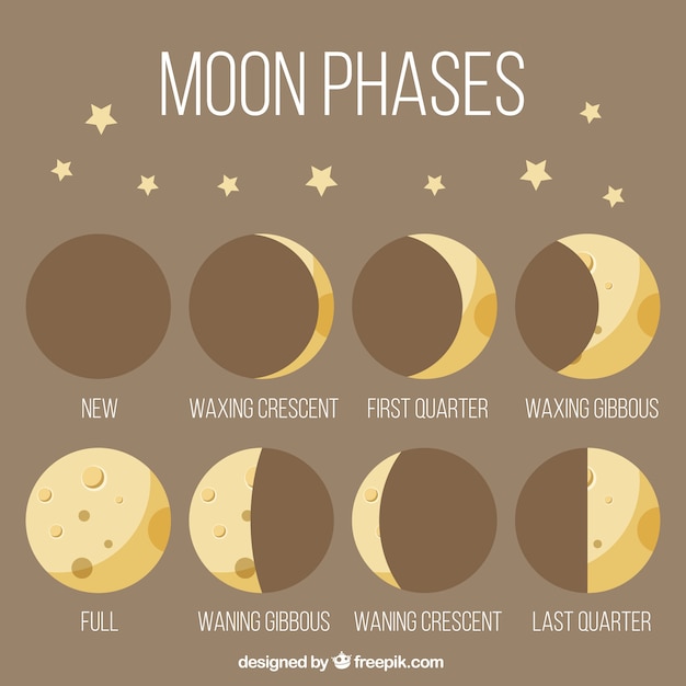 Free vector moon phases in vintage style