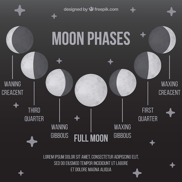 Free vector moon phases with stars in gray tones