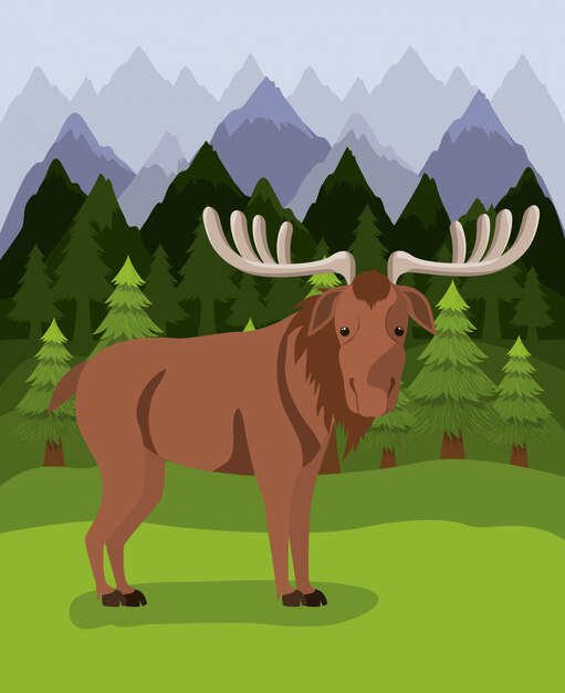 Moose animal and pine trees 