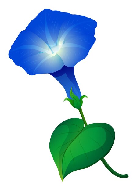 푸른 색의 나팔꽃 꽃