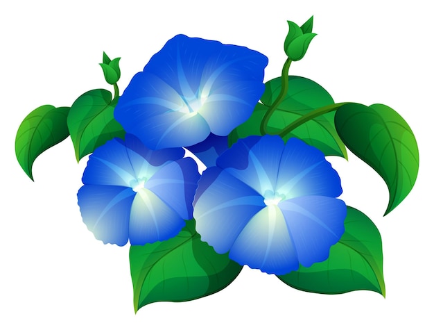 Бесплатное векторное изображение Ипомея в синем цвете