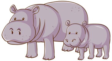 Mother and baby hippopotamus cartoon on white background