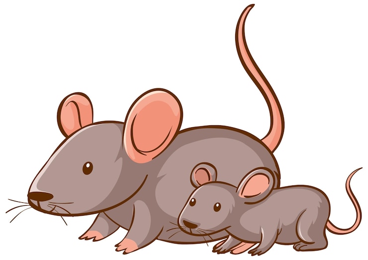 Free Vector mother and baby mouse cartoon on white background