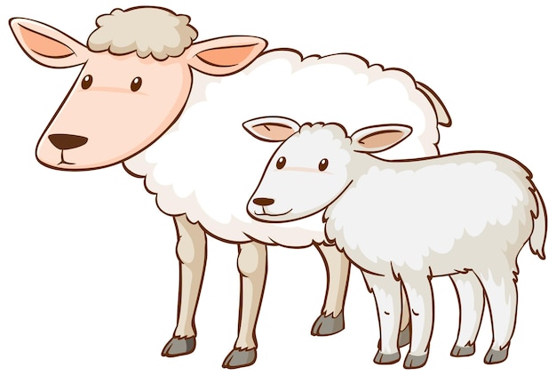 Free vector mother and baby sheep cartoon on white background