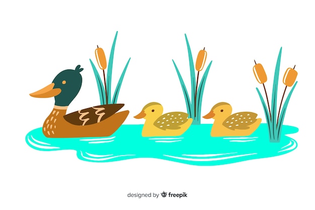 Free vector mother duck and ducklings in puddle