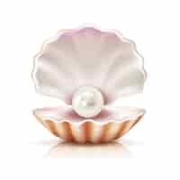 Free vector mother of pearl shining in open shell