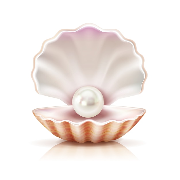 Mother of pearl shining in open shell 