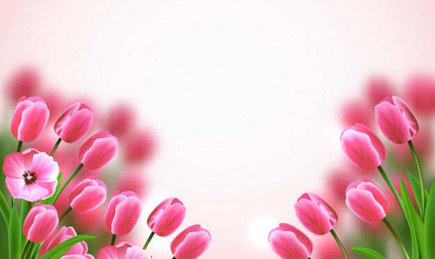 白い背景の美しいピンクのチューリップと母の日色の花の組成
