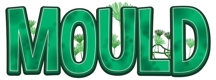 Free Vector mould text word isolated