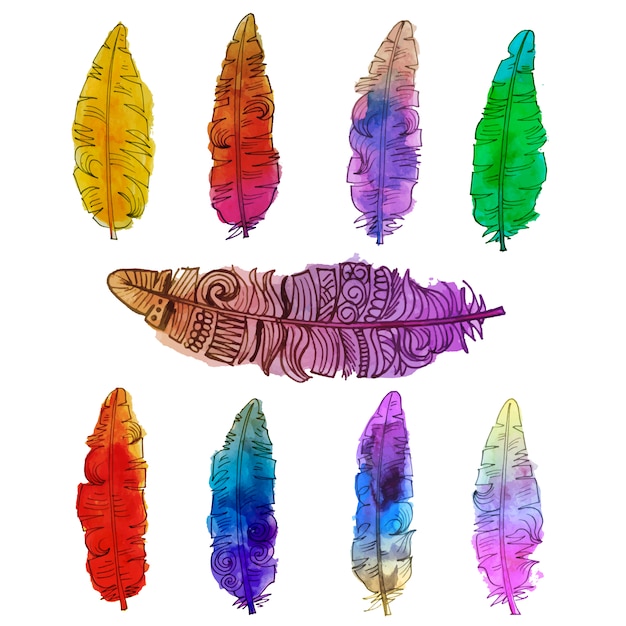 Free vector multicolor feathers colection