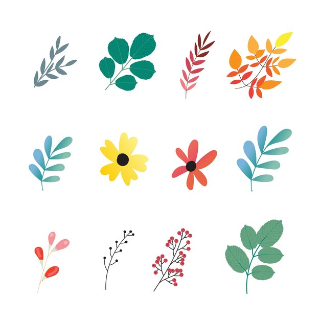 여러 가지 빛깔의 나뭇잎 컬렉션