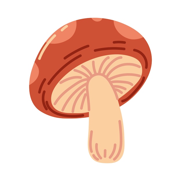 mushroom fresh icon vector isolated