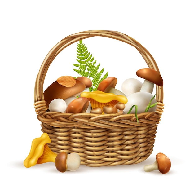 Free vector mushrooms basket realistic concept with boletus and porcini vector illustration