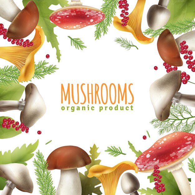 Mushrooms Frame Realistic Background Poster