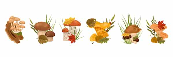 Free vector mushrooms with leaves cartoon row with honey agaric porcini boletus oyster oiler isolated elements vector illustration