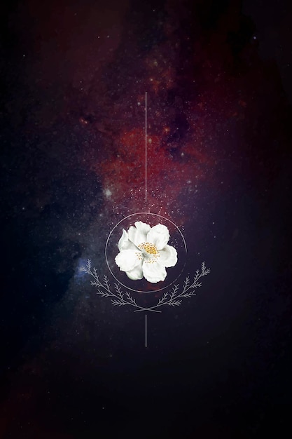 Musk rose on a galaxy background