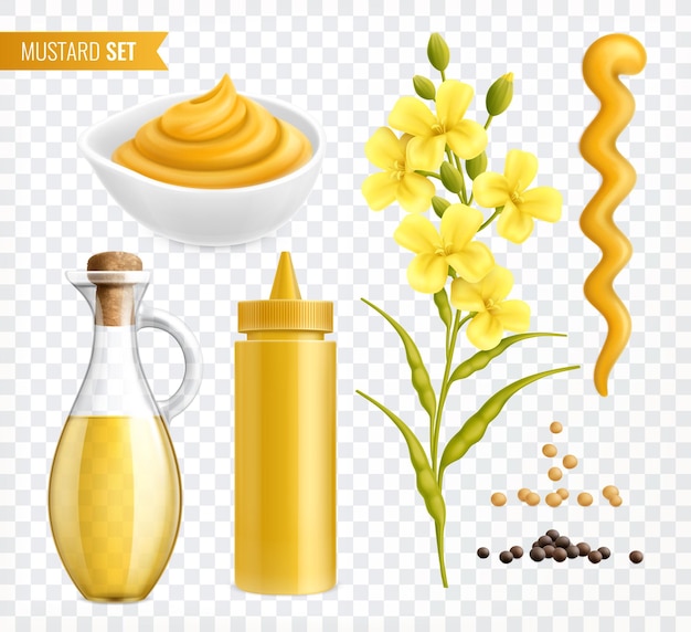 Free vector mustard realistic set of isolated images on transparent background with plants seeds and jars with text vector illustration