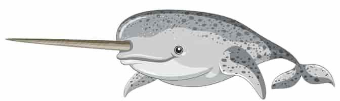 Free vector narwhal on white background