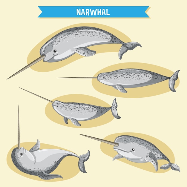 Free vector narwhale cartoon character in different poses