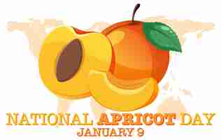 Бесплатное векторное изображение Дизайн плаката к национальному дню абрикоса