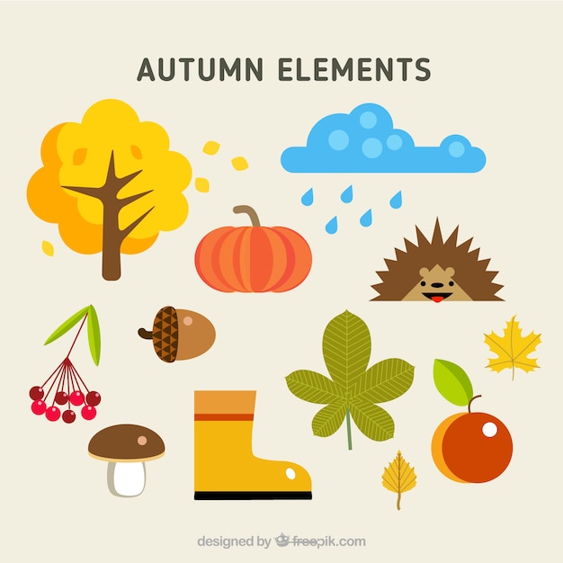 Natural autumnal elements