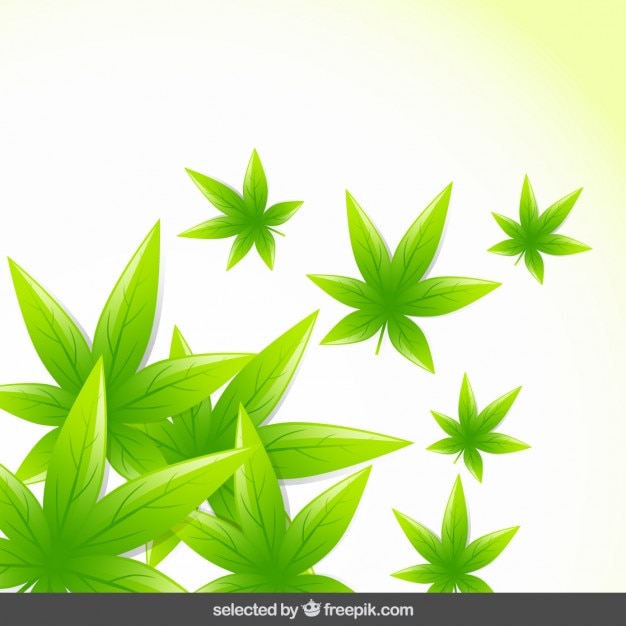 Free vector natural background with green leaves