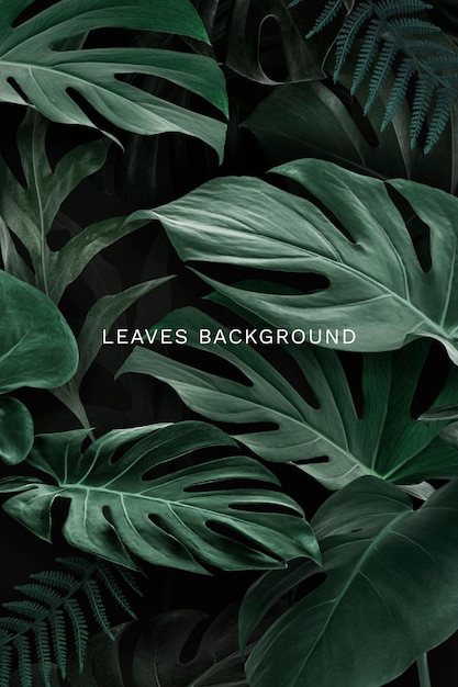 Free vector natural green leaves background template