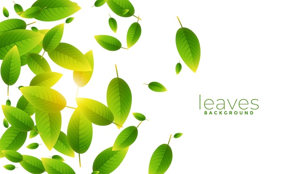 Free vector natural green leaves background with light effect