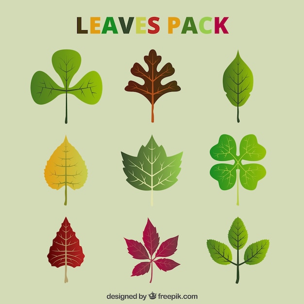 Natural leaves pack