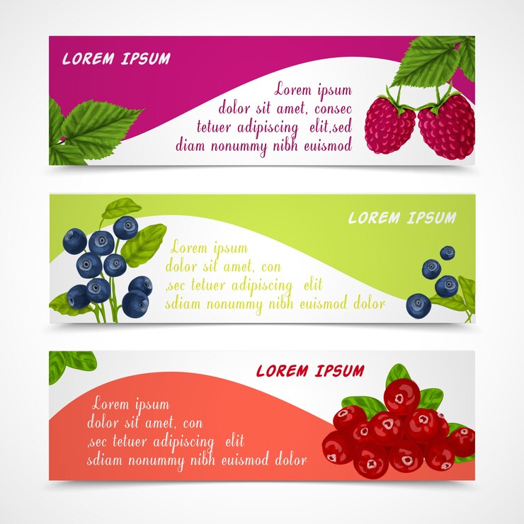 Free Vector natural organic forest berries banners set of raspberry blueberry cowberry design template vector illustration