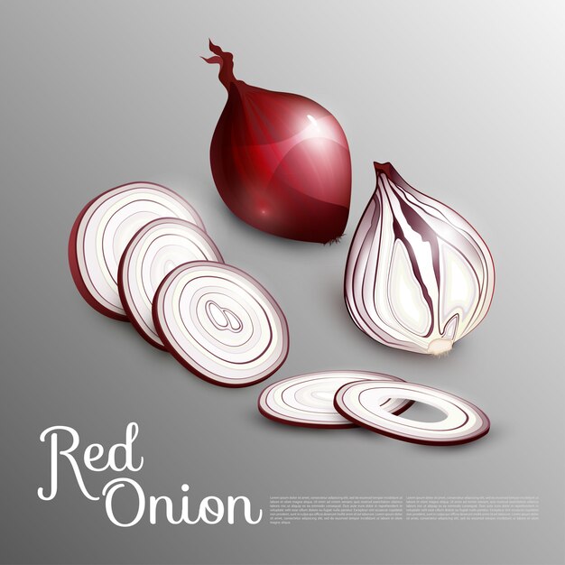 Natural Red Onion Concept