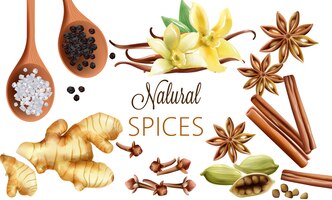 Бесплатное векторное изображение Композиция натуральных специй с солью, черным перцем, имбирем, палочками корицы и ванилью