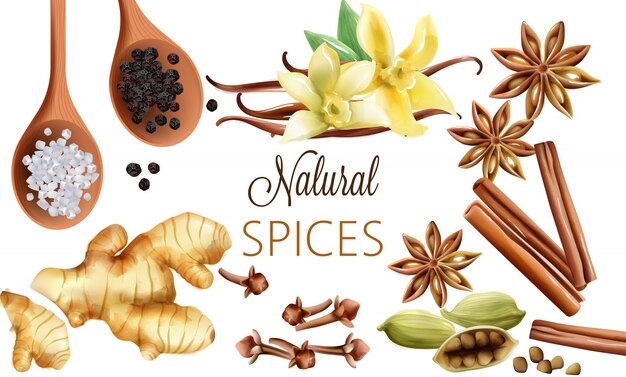 Natural spices composition with salt, black pepper, ginger, cinnamon sticks and vanilla