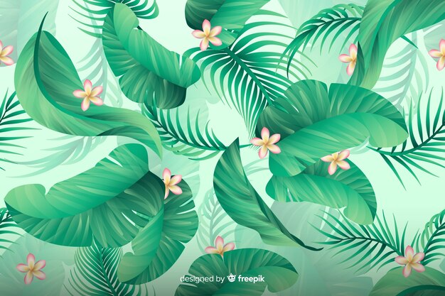 Natural tropical background with leaves