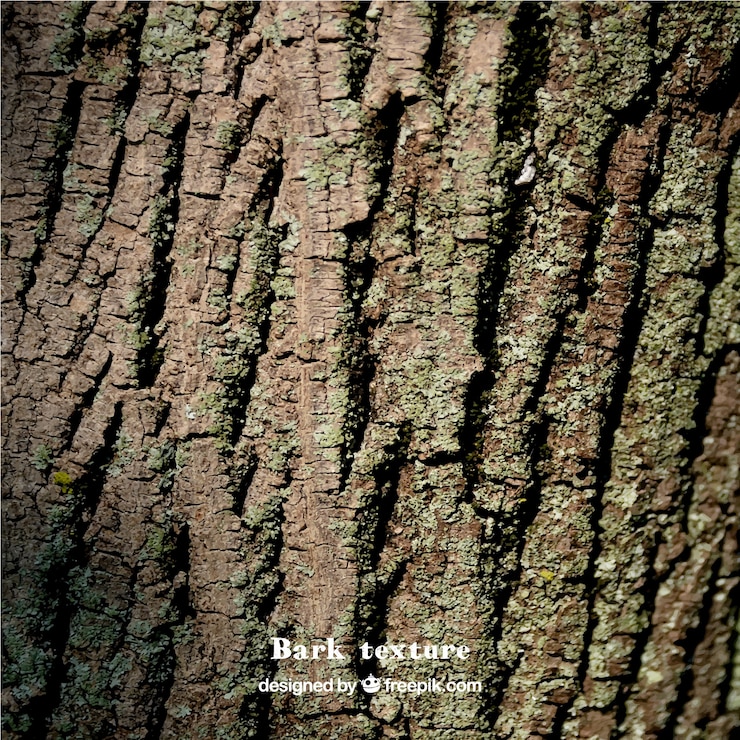 ฟรี Vector natural wood texture