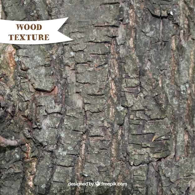 Free vector natural wooden texture