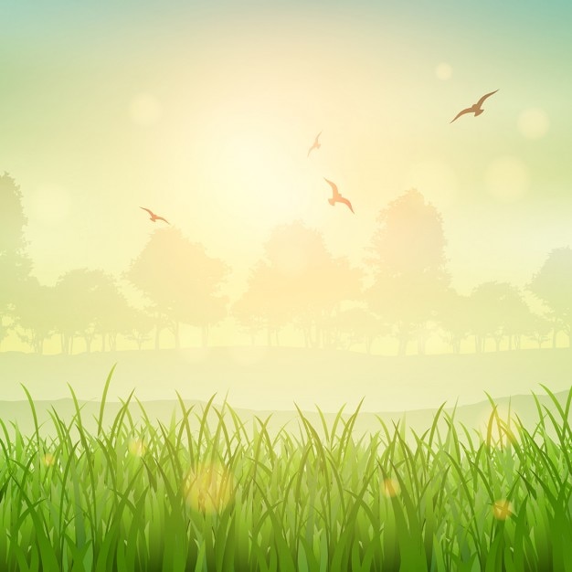 Free vector nature background of a grassy landscape